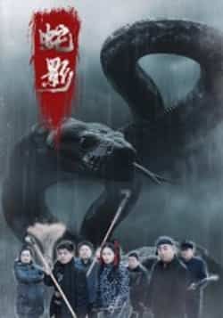 热门短剧蛇影（25集）刘灵闫一英主演，全集完整版免费在线观看，未删减版百度夸克网盘资源下载分享。  第1张