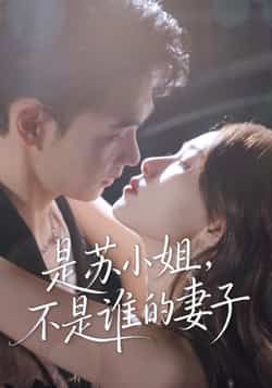 是苏小姐不是谁的妻子全集完整版免费无广告在线观看未删减，百度网盘夸克网盘资源分享下载。  第1张