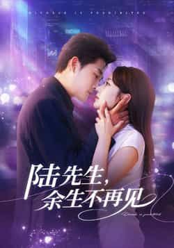 热门短剧陆先生，余生不再见全集高清未删减，免费在线观看，百度夸克网盘资源分享下载。  第1张