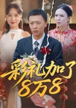 热门短剧彩礼加了8万8全集完整未删减，纯净免费在线观看，百度夸克网盘免费资源分享下载。  第1张