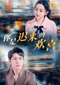 热门短剧你是迟来的欢喜全集完整版更新未删减，免费在线观看，百度夸克网盘资源分享下载。  第1张