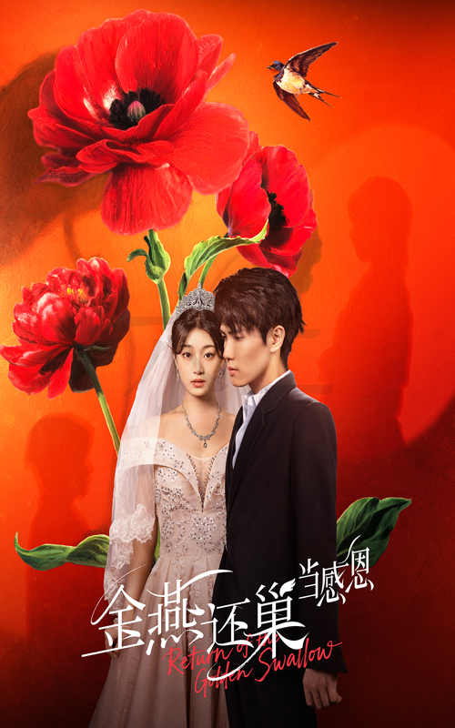 短剧 《金燕还巢当感恩》 高清完整全集免费在线观看无广告，金燕还巢免费在线观看
